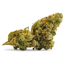 Load image into Gallery viewer, VERSUS BC GOD BUD (IND) DRIED - 28G